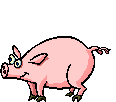 [dancing pig[2].gif]