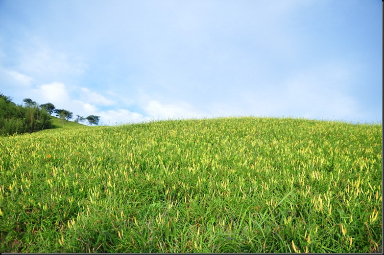 20100824 (202)_resize