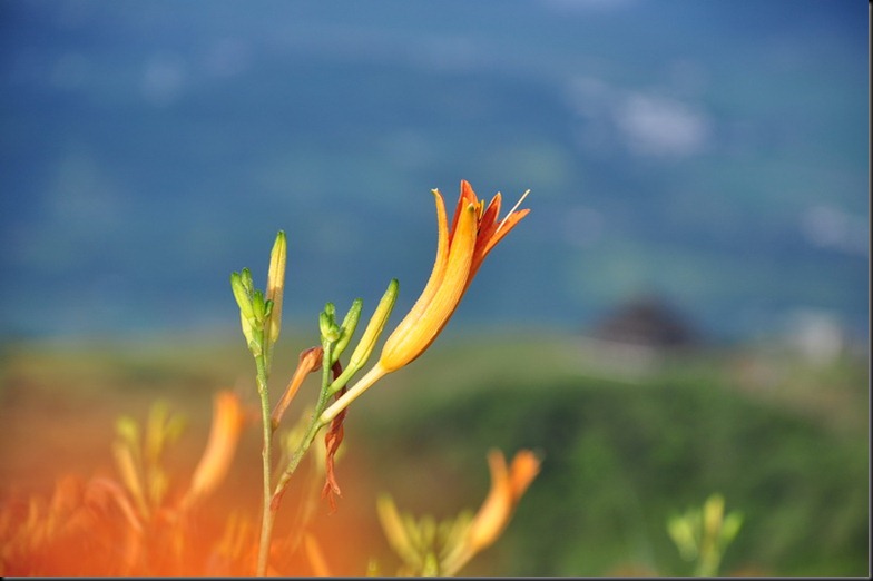 20100824 (583)_resize