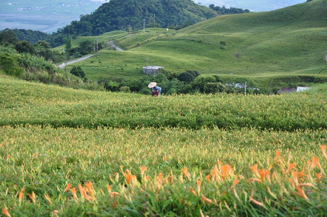 [20100824624_resize3.jpg]