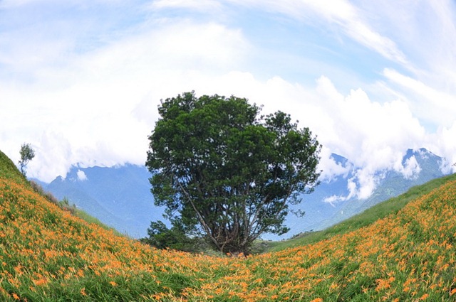 [20100824825_resize7.jpg]