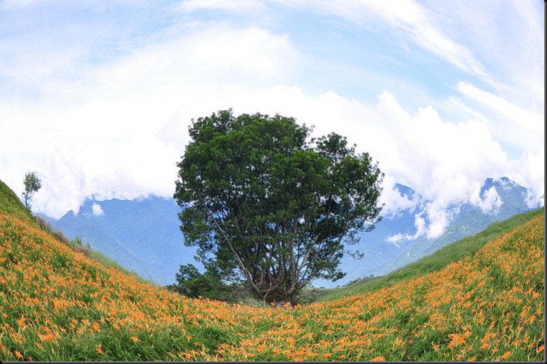 20100824 (825)_resize