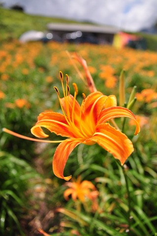 [20100824868_resize3.jpg]