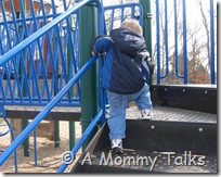 IMG_4465 IMG_4465