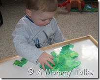 IMG_4525 IMG_4525