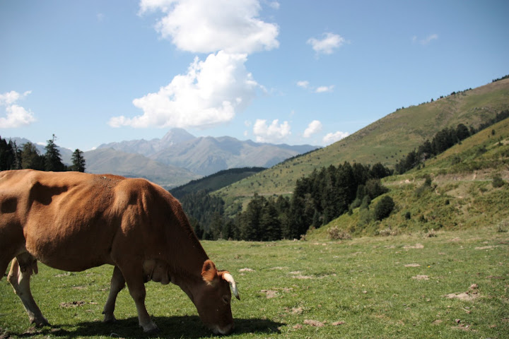 Hoog in de Pyreneeën