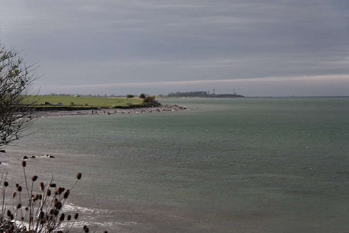 Oostzee