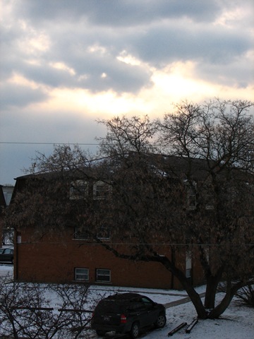 [IMG_00585.jpg]