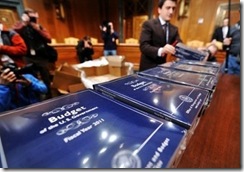 FY2011 Budget