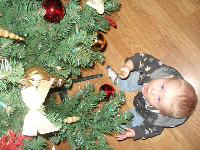 [7-8months 116[5].jpg]