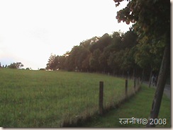 DSC00253 DSC00253