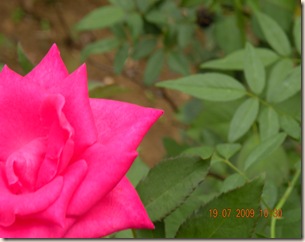 DSCN1804 DSCN1804