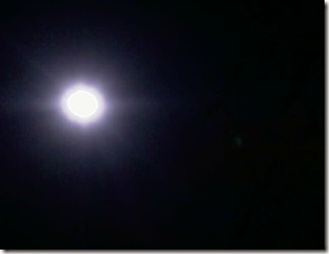 IMAG0516 IMAG0516