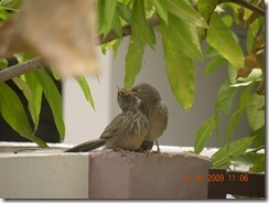 DSCN1377 DSCN1377
