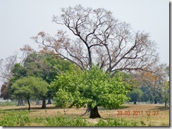 DSCN4044 DSCN4044