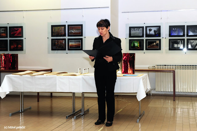 dia-pregledna 2009_1.JPG