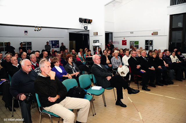 dia-pregledna 2009_8.JPG