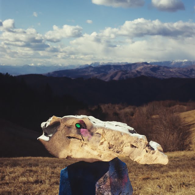 Rafael Podobnik_012_Bela riba.jpg