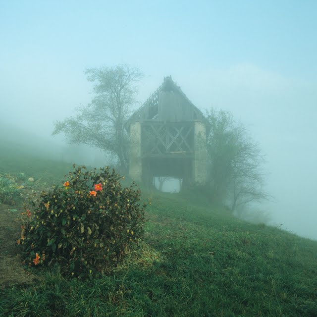 Rafael Podobnik_008_Zapozneli cvet.jpg