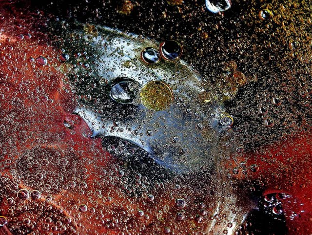 D_Katusa_Margon_Vuga_Razglrdnica s planeta X.jpg