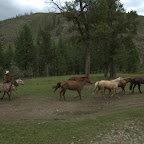 Horseboy
