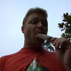 lecker Erbseneis