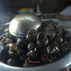 Schnecke