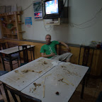volle Plautze