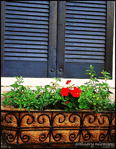 outside 2