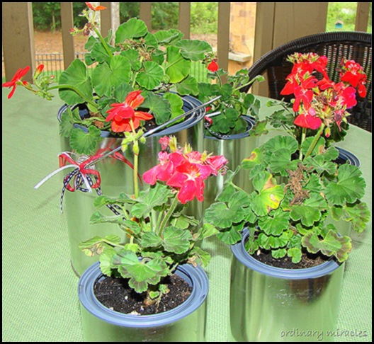 flower pots