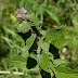 P6052461