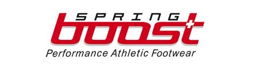 [SpringBoost logo[4].jpg]