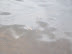 100_2255.JPG
