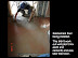 The 4Cs soil cement floor