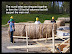 MPAC round bale columns bound together