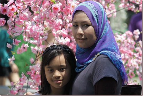 IMG_8384 IMG_8384