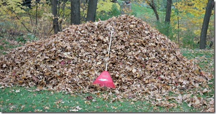 leaf-pile1