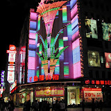 20065