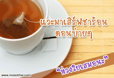 คลิกๆๆ รูปสวยๆน่ารักๆไว้ส่งต่อเพียบ...