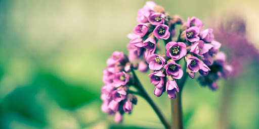 HD Wallpaper : Spring  Remixed HD Wallpaper : Spring  Remixed