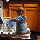 Helping with the dishwasher. (January)