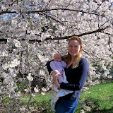 Looking at cherry blossoms. (April)