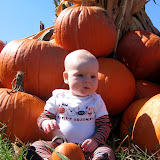 Obligatory baby-in-pumpkin-patch shot at the Cox Farms Fall Festival. (October)