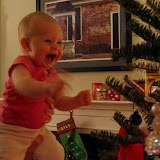 Ahhh!  A Christmas tree! (December)
