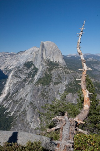 [Yosemite Day 2-381[2].jpg]