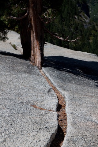 [Yosemite Day 2-256[2].jpg]