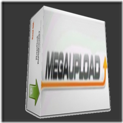 Megaupload gestor
