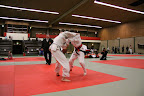  judo