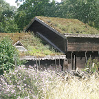 Stockholm Skansen Green Roof2.JPG