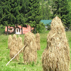 RIMG0177.JPG